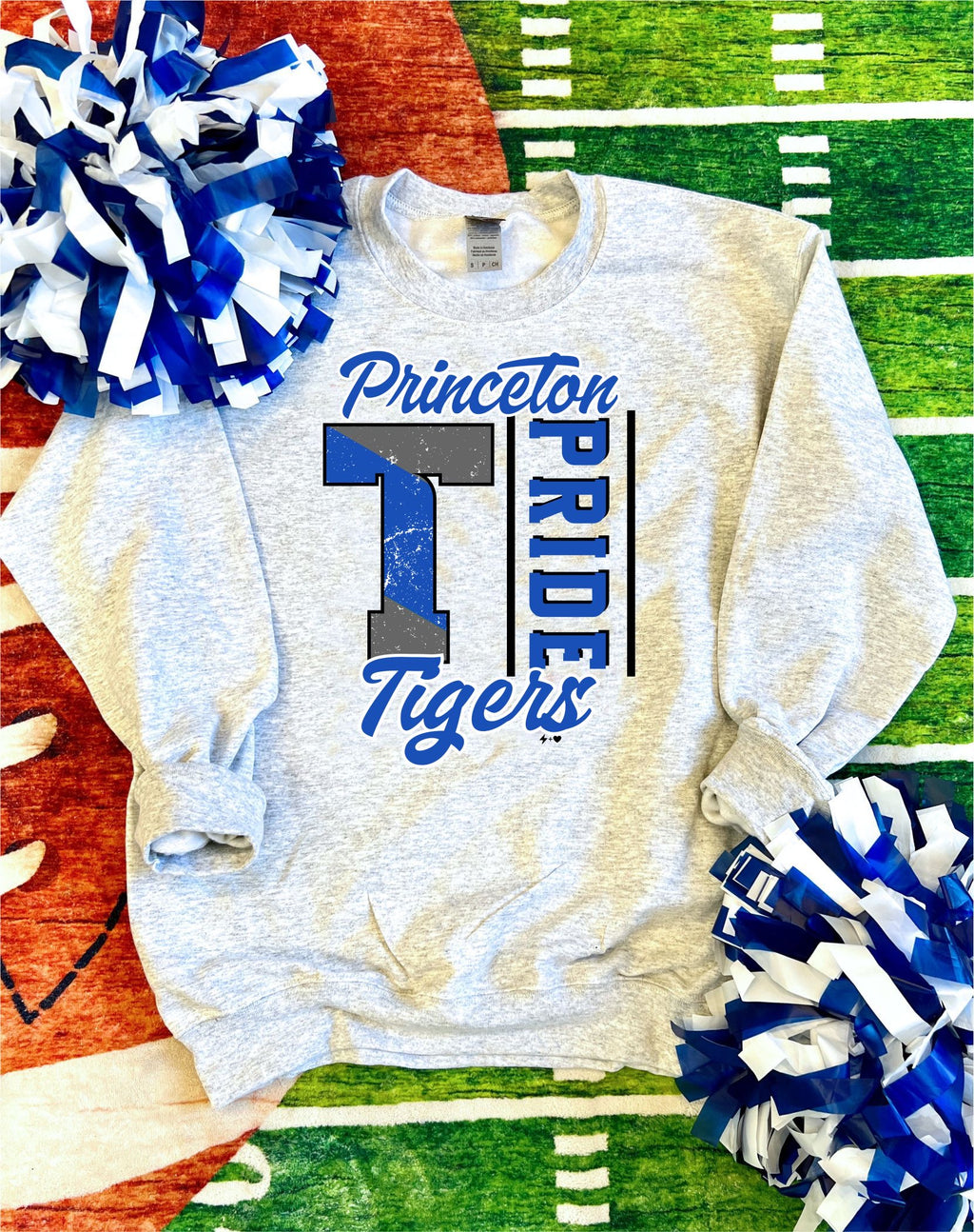 Princeton Tiger Pride