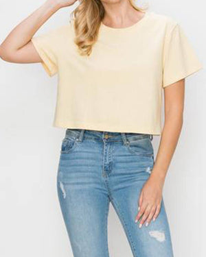 Country Music Festival  graphic Crop Tee